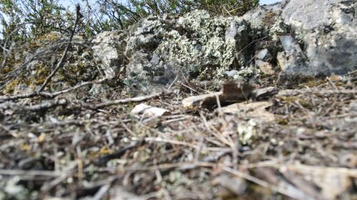 Thiers [14-05-2022](0723).jpg